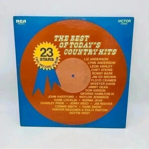 Vintage Vinyl The Best of Today's Country Hits Double LP Album